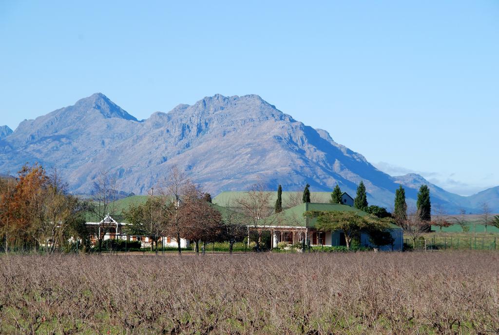 Hoopenburg Guesthouse Stellenbosch Bagian luar foto