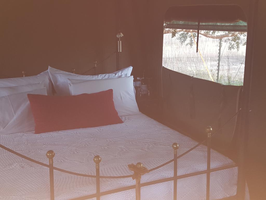 Hoopenburg Guesthouse Klapmuts Bagian luar foto