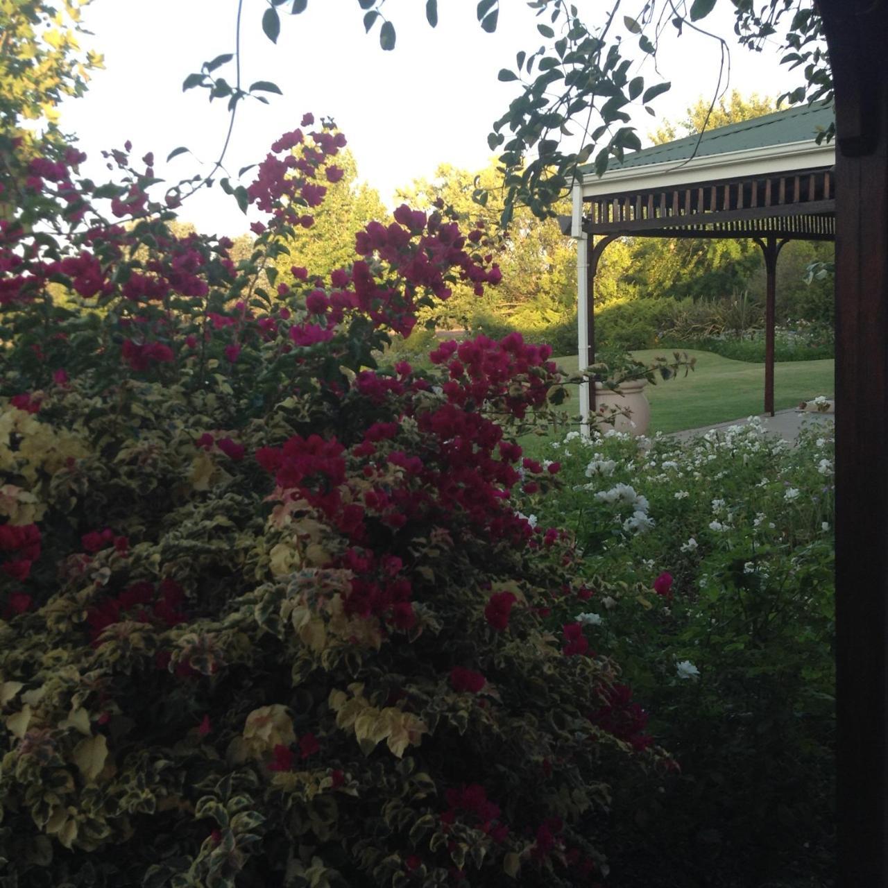 Hoopenburg Guesthouse Klapmuts Bagian luar foto